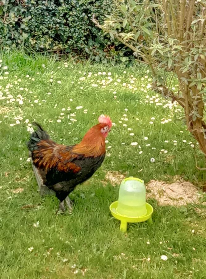 La Pommeraie 76 Saint-Ouen-sous-Bailly Εξωτερικό φωτογραφία